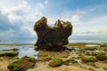 Seascape. Rock in the ocean during low tide. Cloudy sky. Sunset at the beach. Stines and rocks with green seaweeds. Thomas beach,