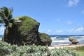 Seascape with rocks in Barbados Bathsheba beach. Royalty Free Stock Photo