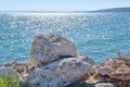 Seascape with Rocks on the Shore Nature Background