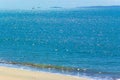 Seascape with sailing boat