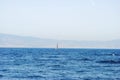 Seascape. Sailing vessel. View of Sicily, Italy