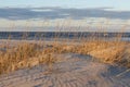 Seascape Sand, Sea Oats, Atlantic Ocean Royalty Free Stock Photo