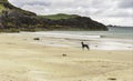 Seascape of sango sands beach