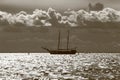 Seascape with a schooner in the roadstead on a sunny and cloudy day. Monochrome, sepia Royalty Free Stock Photo