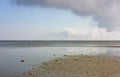 Seascape, sea of Azov after a storm, low tide, water surface against the background Royalty Free Stock Photo