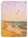 Seascape with seagulls. Old postcard