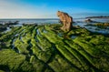 Seascape of South Coast of Vietnam Royalty Free Stock Photo