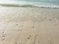 Seascape of sparkling gentle waves and pristine sand