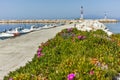 Seascape with Spring flowers and pier in Skala Sotiros, Thassos island, Greece