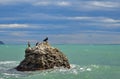 Seascape, the stone with a birds on the background of the sea, clouds on a blue sky, Crimea