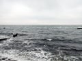 The city of Odessa. Ukraine. Coast near Fontana Street. Panorama of the stormy Black Sea in the feast of Epiphany.