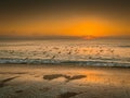 Seascape Sunrise with Birds in Flight Royalty Free Stock Photo