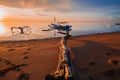 Seascape. Sunrise time. Piece of dry wood on sandy beach. Fisherman boat jukung. Traditional fishing boats. Sanur beach, Bali,