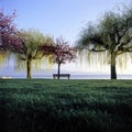 Seascape Switzerland Vaud Lutry Trees Bench Grass Green