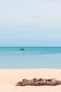 Seascape timber on the beach and fisherman fishing