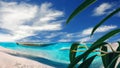 Seascape , tropical island summer plant and green sea water and blue sky with white clouds beach seascape natyre landscape backg