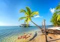 Seascape with tropical palms on beautiful sandy beach in Phu Quoc island, Vietnam. Royalty Free Stock Photo