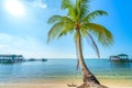 Seascape with tropical palms on beautiful sandy beach in Phu Quoc island, Vietnam. Royalty Free Stock Photo