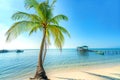Seascape with tropical palms on beautiful sandy beach in Phu Quoc island, Vietnam. Royalty Free Stock Photo