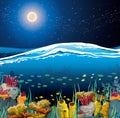 Seascape with underwater creatures and night sky