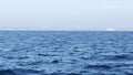 Seascape View from the boat of Grey Whale in Ocean during Whalewatching trip, California, USA. Eschrichtius robustus