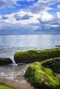 Seascape view of a calm sea with rocks with algae. Royalty Free Stock Photo