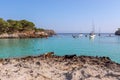 Seascape view of the famous bay Cala Turqueta with two walking goats in the foreground. Menorca, Balearic islands, Spain