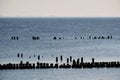 Seascape with water breaker poles Royalty Free Stock Photo