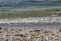 Seascape of wave movements in the Black Sea sandy coast and beach covered in the shells of different mussels near ancient city