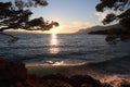 Evening sea with waves and pine branches against the background of a beautiful sky with clouds, Croatia Royalty Free Stock Photo