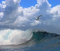 Seascape wave seagull cloudy sky Royalty Free Stock Photo