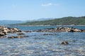 Seascape of a wild beach with Wild mussels on rocks at low tide