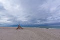 Seascape. Wooden hut on a sandy beach by the Baltic Sea on a windy autumn day