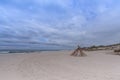 Seascape. Wooden hut on a sandy beach by the Baltic Sea on a windy autumn day