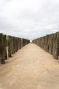 Seascape with wooden pillars leading towards the sea at the Dutch coast, province of Zeeland Royalty Free Stock Photo