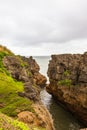 Pancake Rocks. Spiky cliffs of Paparoa national park, South Island, New Zealand