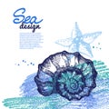 Seashell background. Sea nautical design. Hand drawn sketch and pencil illustration