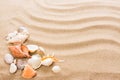 Seashell on the beach.  Summer background with hot sand Royalty Free Stock Photo