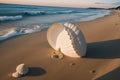 A seashell on a beach at sunrise
