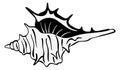 Seashell black icon. Conch drawing. Beach symbol Royalty Free Stock Photo
