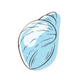 Seashell clipart in line art with blue color. Silhouette of summer undersea shell for seafood market, restaurant, shop