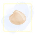 Beige Seashell Clipart, Watercolor Clipart, Summer Clipart, Sealife Scrapbook, Beach Clipart, Scrapbook Elements