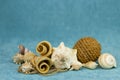 Seashell with a coil of rope and twisted pieces