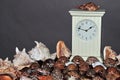 Seashell collection with clock 3 Royalty Free Stock Photo