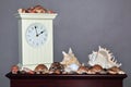 Seashell collection with clock on shelf Royalty Free Stock Photo