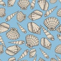 Seashell collection hand drawn aquatic doodle vector illustration. Sketch seamless pattern. Royalty Free Stock Photo