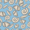 Seashell collection hand drawn aquatic doodle vector illustration. Sketch seamless pattern. Royalty Free Stock Photo