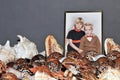 Seashell collection and photo