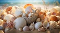 Seashell Collection, Soft focus, Macro shots, Stillness, Shoreline Royalty Free Stock Photo