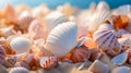 Seashell Collection, Soft focus, Macro shots, Stillness, Shoreline Royalty Free Stock Photo